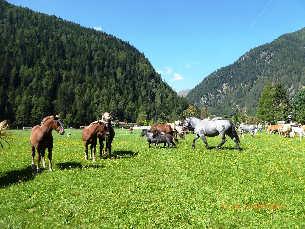 Gaestehaus Truskaller Otel Mallnitz Dış mekan fotoğraf